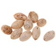 thumbnail image 1 of KLKCMS 12Pcs Rustic Dried Flowers Ornament for Christmas Home Wedding, 1 of 7