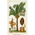 thumbnail image 2 of Turpin 12x18 White Modern Wood Framed Museum Art Print Titled - Turpin Exotic Palms VII, 2 of 4