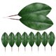 thumbnail image 5 of unbranded 10Ud Hojas Artificiales De Magnolia Verde Para En Hogar Oficina Arreglos, 5 of 8