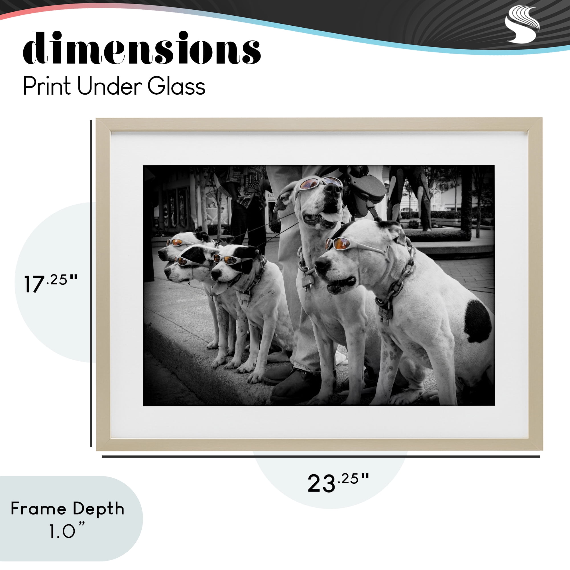 Stupell Industries Afternoon Stroll Pups Birch Framed Print Under Glass, design by Scott Henderson