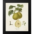 thumbnail image 2 of de Langlois 12x14 Black Modern Framed Museum Art Print Titled - Vintage Pears III, 2 of 5