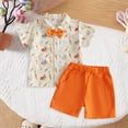 thumbnail image 2 of UngA Baby Boy Shorts Set Summer Clothes Toddler Bunny Carrot Embroidery Striped Short Sleeve Lapel T-shirt Shorts Sets Infant Easter Outfit (Red,4-5 Years), 2 of 7
