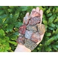 thumbnail image 2 of Rough Jaguar Jasper: Pick Amount oz or lbs (Raw Leopard Skin Jasper), 2 of 10