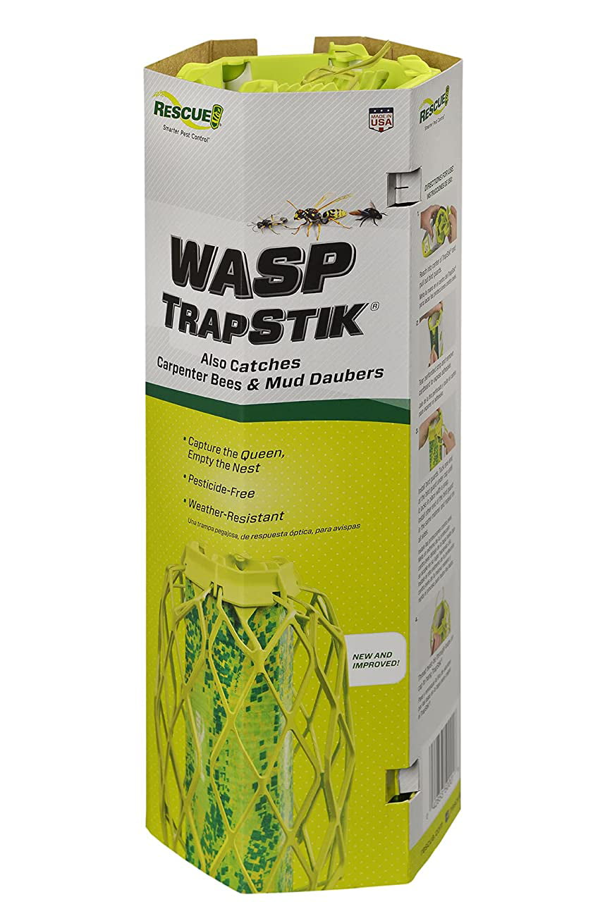 Mud Daubers Carpenter Bees with bird guard RESCUE Non Toxic Trapstik for Wasps 