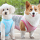 thumbnail image 5 of Dinheiro Paquete de 2 camisas para perros de secado rápido, suaves y elásticas, camisetas para perros con etiqueta reflectante, camiseta sin mangas, chaleco, ropa para perros, 5 of 5