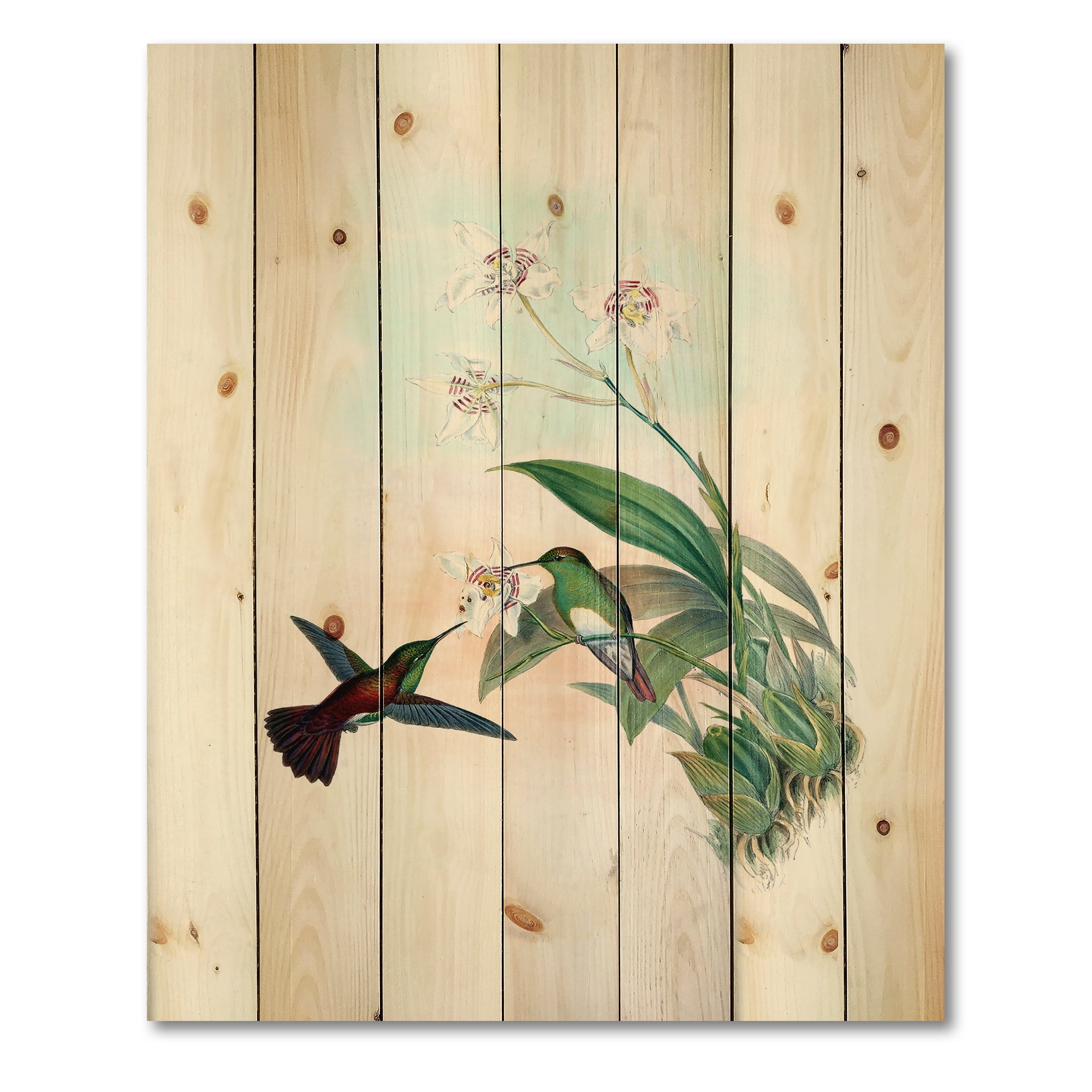 Designart 'Historic Hummingbird Flying To A Flower' Traditional Print on Natural Pine Wood
