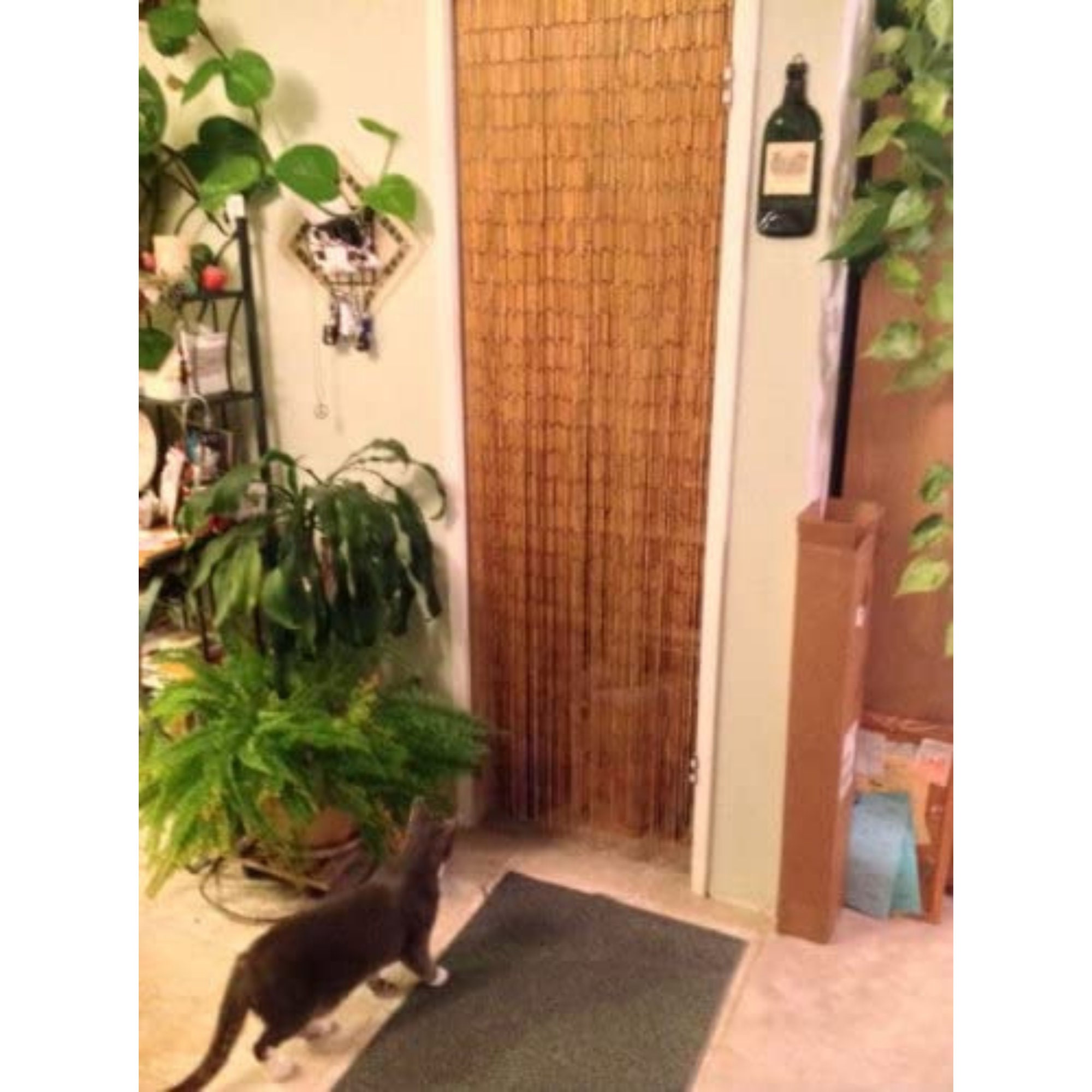 Beaded Doorway Curtains Bead Strands For Living Room Bedroom Door Kitchen Handmade Japanese 125 Strings Vintage Divider Hanging Home Natural