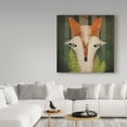thumbnail image 3 of Trademark Fine Art 'Fern Fox' Canvas Art by Ryan Fowler, 3 of 3