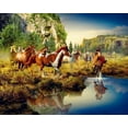 thumbnail image 1 of Herd of Horses Paint by Numbers (40x50cm no frame), 1 of 2