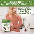 thumbnail image 6 of Wellness WHIMZEES Daily Brushzees Dog Dental Treats, Medium Size Stick, (7 Count), 6 of 10