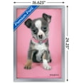 thumbnail image 3 of Keith Kimberlin - Puppy on Pink Background Wall Poster, 14.725" x 22.375", Framed, 3 of 6