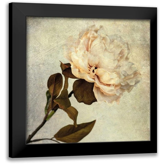 Malek, Honey 12x12 Black Modern Framed Museum Art Print Titled - Lush Vintage Florals II