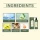 thumbnail image 5 of Champú Reparador Nutritivo Profundo 100ml para Cabello Mixto Seco y Graso - Hidratante Suavizante Mejora de la Elasticidad Fórmula Suave - Control de la Caspa Alivio del Cuero Cabelludo - 1 Botella, 5 of 7