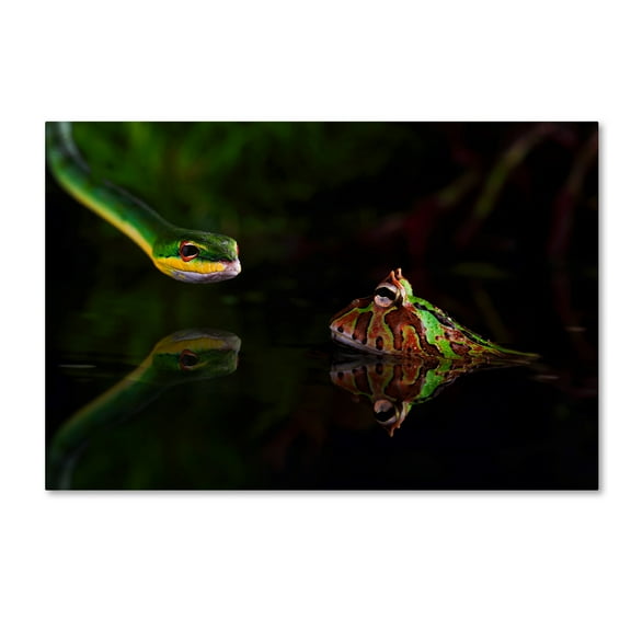 Trademark Fine Art 'Snake' Canvas Art by Unknown Artist