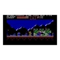 thumbnail image 3 of Castlevania Anniversary Collection - Limited Run #106 [Nintendo Switch], 3 of 5