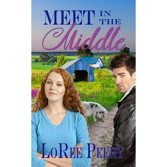 Meet in the Middle (Paperback)