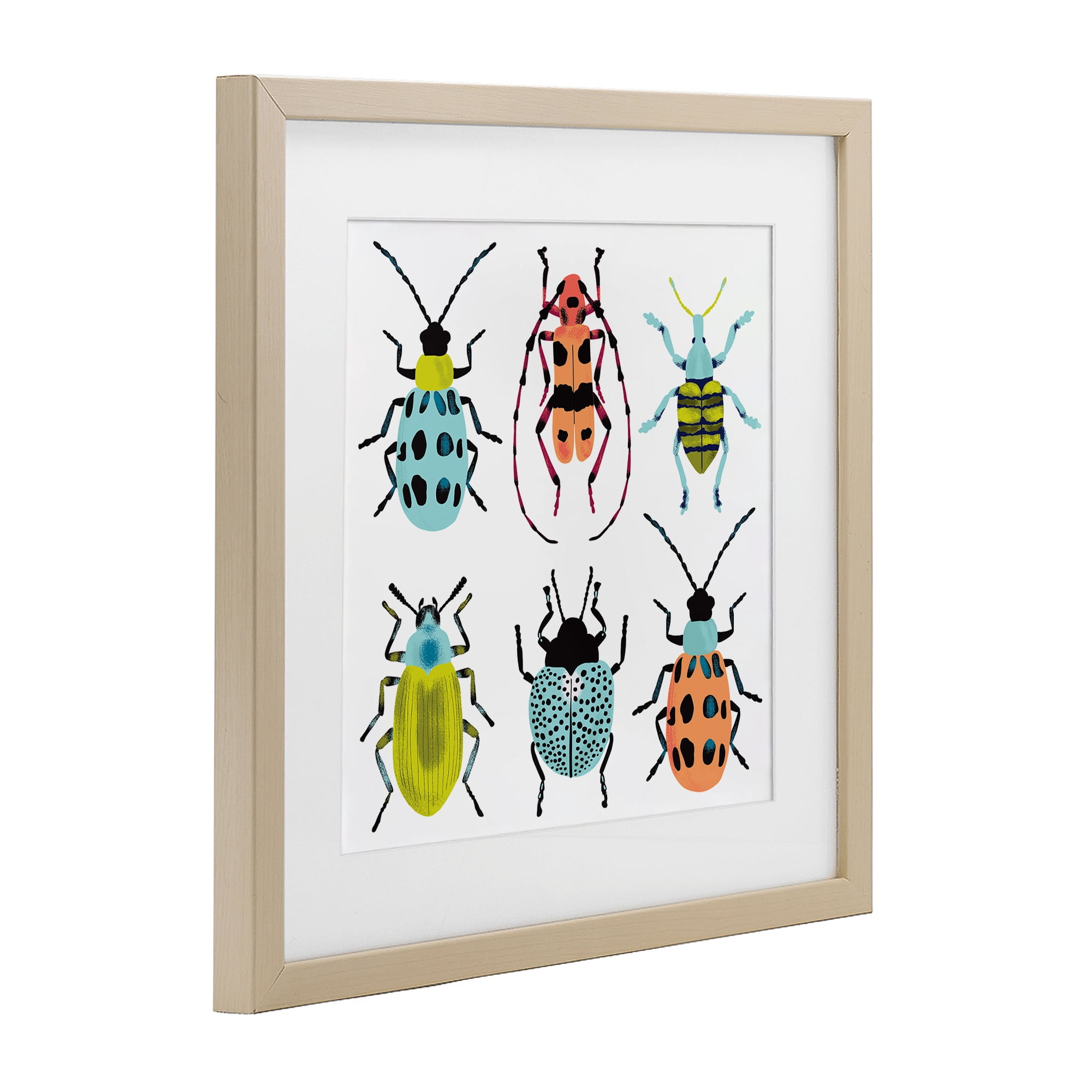 Stupell Industries Beetles & Bugs Collection Birch Framed Print Under Glass, design by Metka Hiti