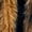 Brown, variant on Delliss Men's Winter Sleeveless Vest Artificial Fur Comfy Top Stylish Casual Coat Gray XXXL