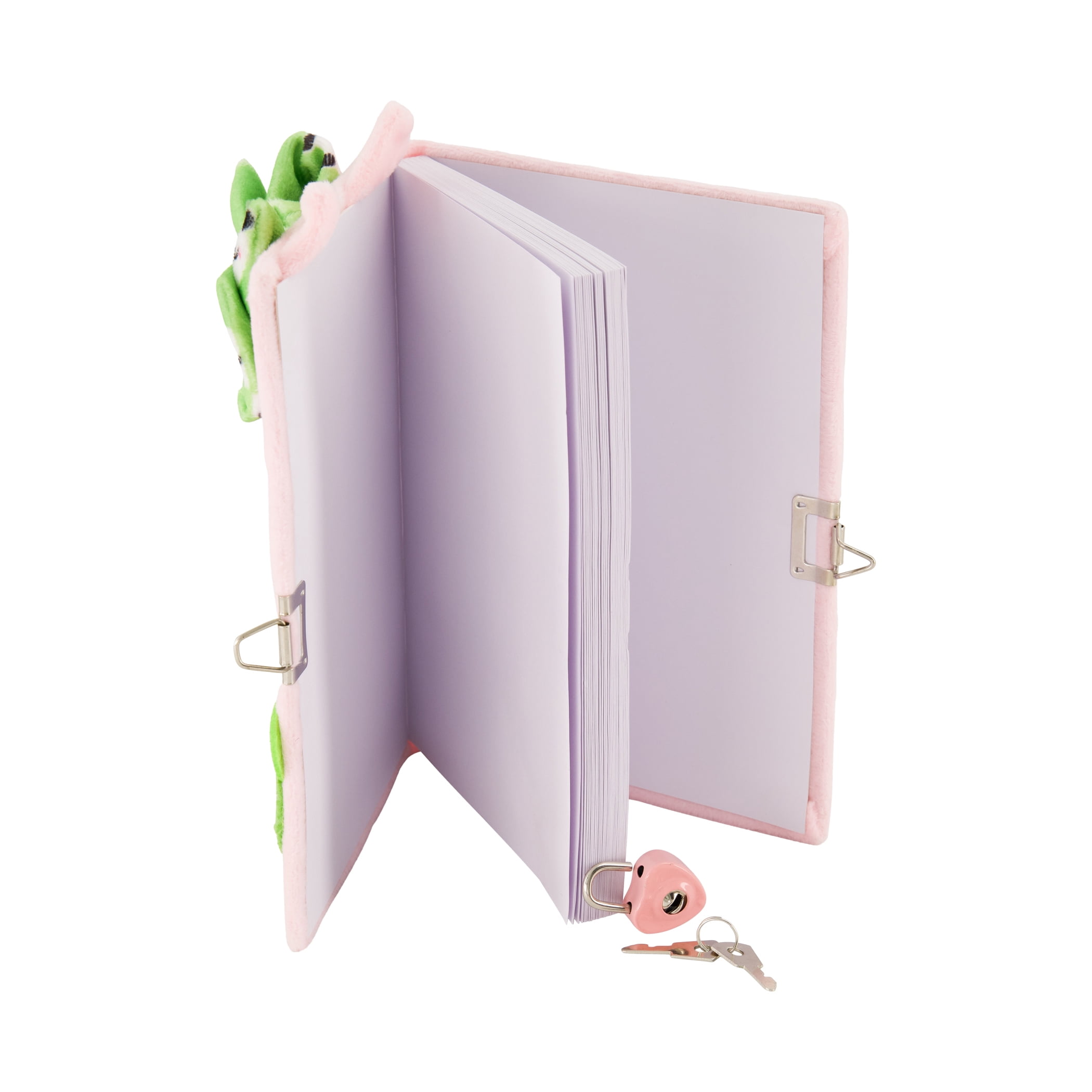 Claire's Bear and Frog Diary
