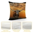 thumbnail image 4 of Orinice Cow with Long Horns at Sunset Graphic Decorative Pillow Cover for Home Couch Living Room Sofa - Aesthetic Decor 1PC 18x18in, 4 of 5