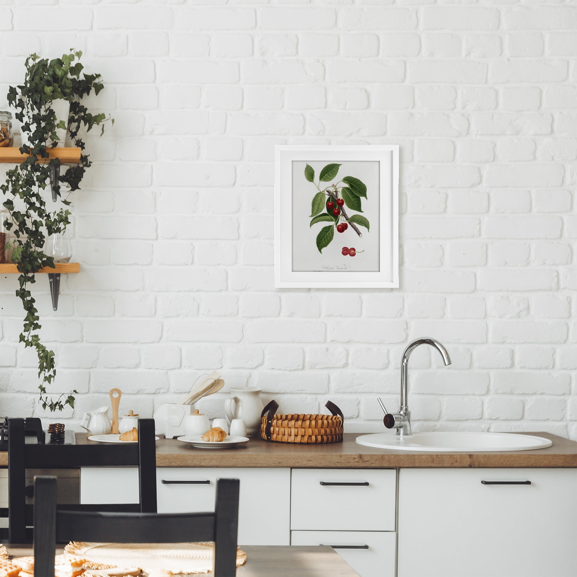 Latin Study of Cherry Plant White Framed Print Under Glass, design by Lettered and Lined