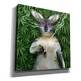 thumbnail image 2 of Epic Graffiti 'Cool Kangaroo' by Enright, Canvas Wall Art, 18"x18", 2 of 8