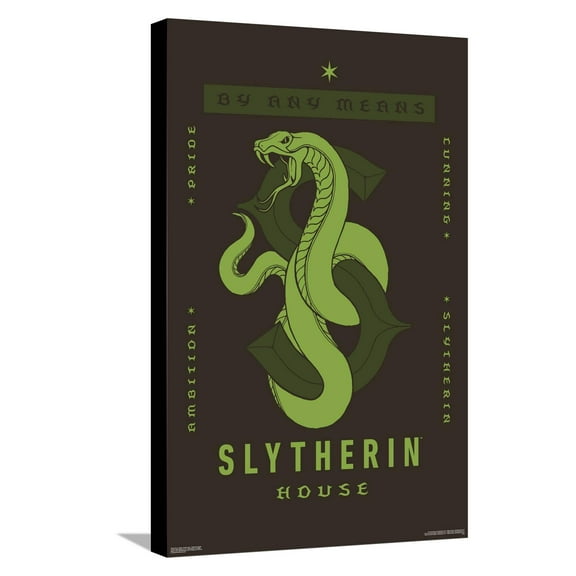 Harry Potter: Darker Arts - Slytherin House Canvas Wall Poster, 14.725" x 22.375"