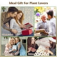 thumbnail image 6 of 1Pc Wooden Plant Terrarium Propagation Station with 3 Heart Shaped Vases, Hydroponics Bulb Desktop Glass Vase for Home Office Decor Gift, 6 of 8