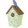 thumbnail image 1 of Casa decorativa con forma de pájaro azul, alas silvestres, olivo, color verde, 1 of 6