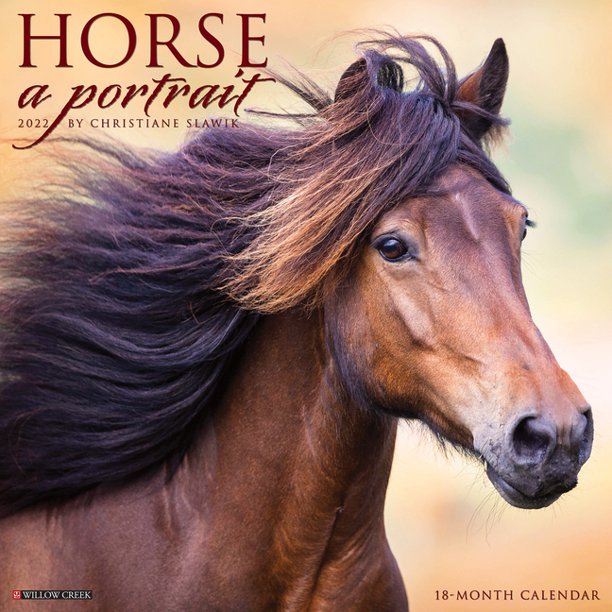 Horse Calendar 2022 Walmart