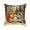#001-B, variant on TanSiDing Easter Pillow Covers, Printed Cushion Covers, Sofa Throw Pillow Cases, Home Decor, Spring Holiday Decorations, Soft Fabric with Zipper Closure for Living Room Bedroom 17.72in