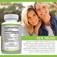 thumbnail image 3 of Simple Life Nutrition Organic Irish Sea Moss Capsules, 3 of 6