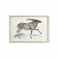 thumbnail image 1 of Antelope Wall Art with Frame, Illustration of a Single Animal Colorful Hand Drawn Sketch, Printed Fabric Poster for Bathroom Living Room, 35" x 23", White Taupe Grey, by Ambesonne, 1 of 2
