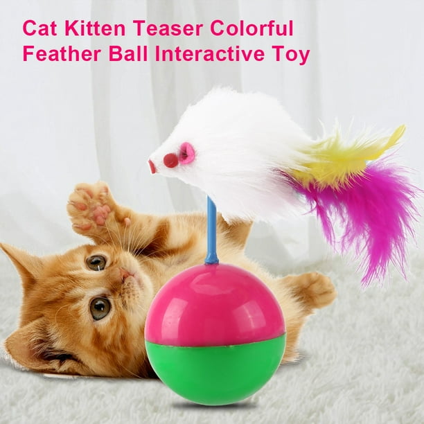 Teaser para gatos, mascota, gato, gatito, juguete para gatos, gatito, Teaser, funcionalidad inteligente