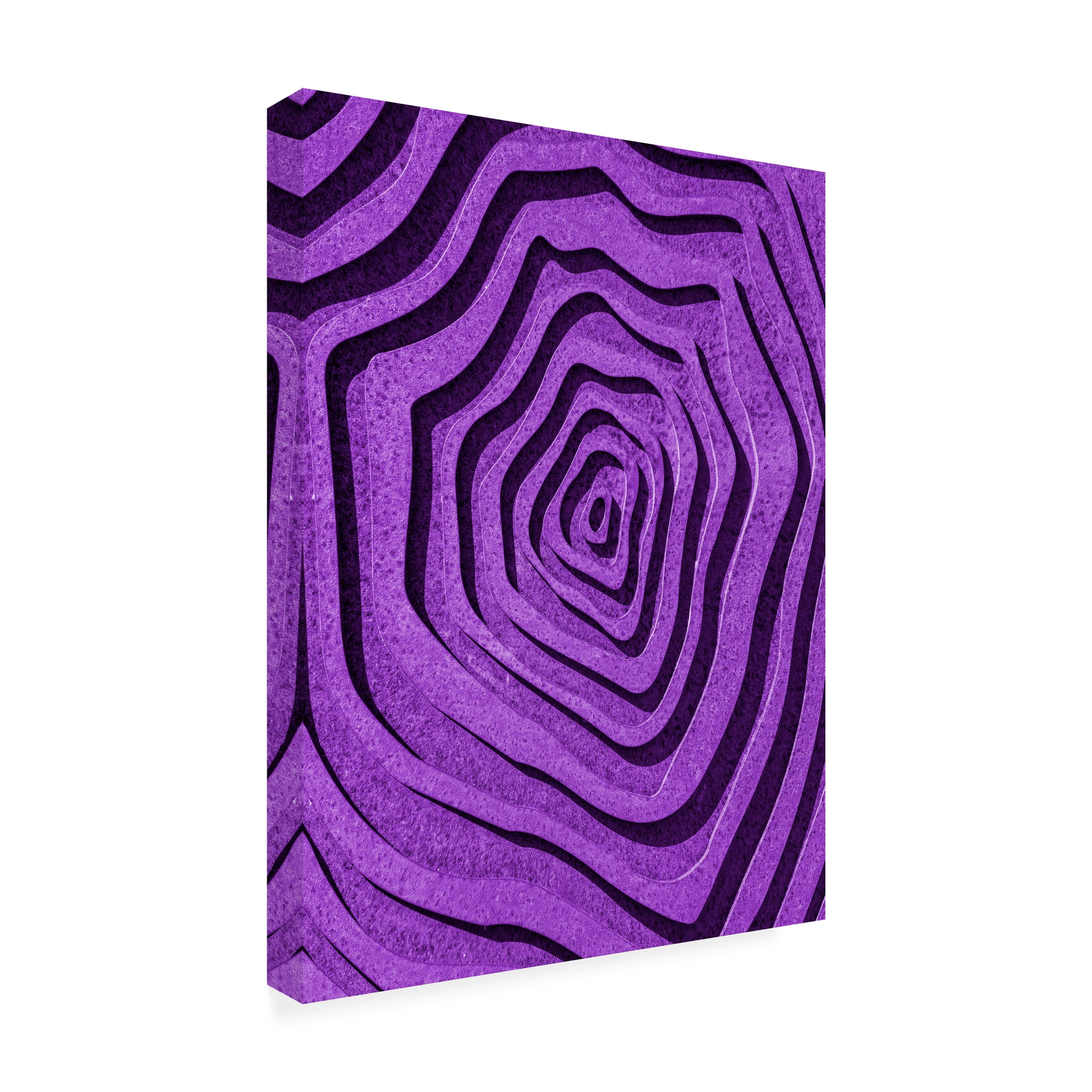 Trademark Fine Art Wayne Pearson Purple Maze Canvas Wall Art