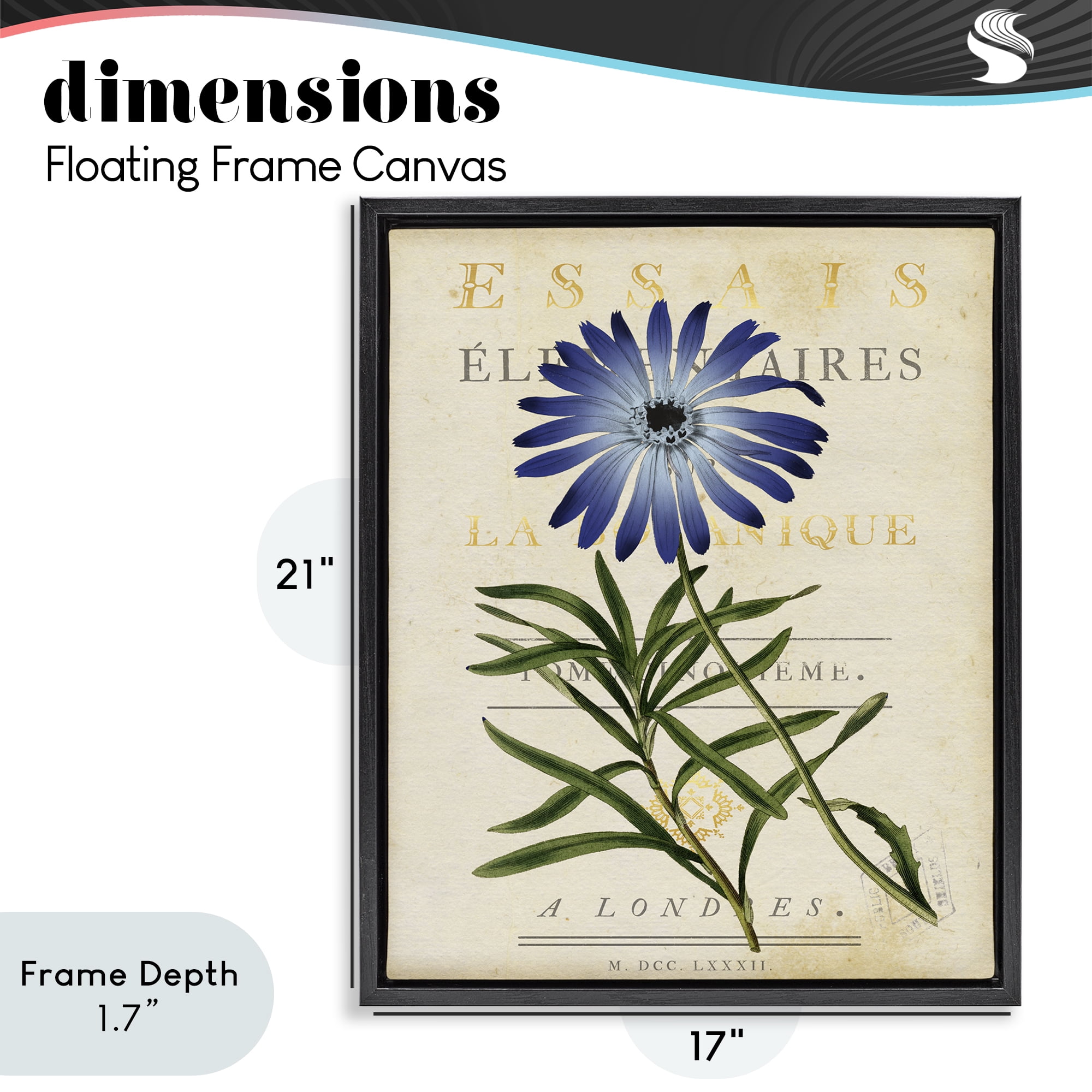 Stupell Industries Natural Botany Daisy Black Framed Floater Canvas Wall Art, design by Susan Arnot