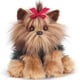 thumbnail image 1 of Perro de peluche de la colección Bearington, Chewie The Yorkie, 33 cm, 1 of 6