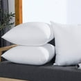 thumbnail image 3 of 2-Pack Square Pillow Inserts - Hypoallergenic Polyester Fill, Non-Woven Cover, Throw Pillow Cores, 3 of 11
