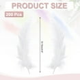 thumbnail image 2 of Paquete de 200 Plumas de Pavo Esponjosas, Pluma Natural de Pavo Blanca, 2 of 5