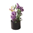thumbnail image 3 of kusrkot 4X 1/12 Miniature Potted Miniature Scene Model for Garden Bedroom Entrance Hall, 3 of 9