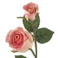 thumbnail image 2 of Pink Faux Real Rose Stem by Ashland®, 2 of 2