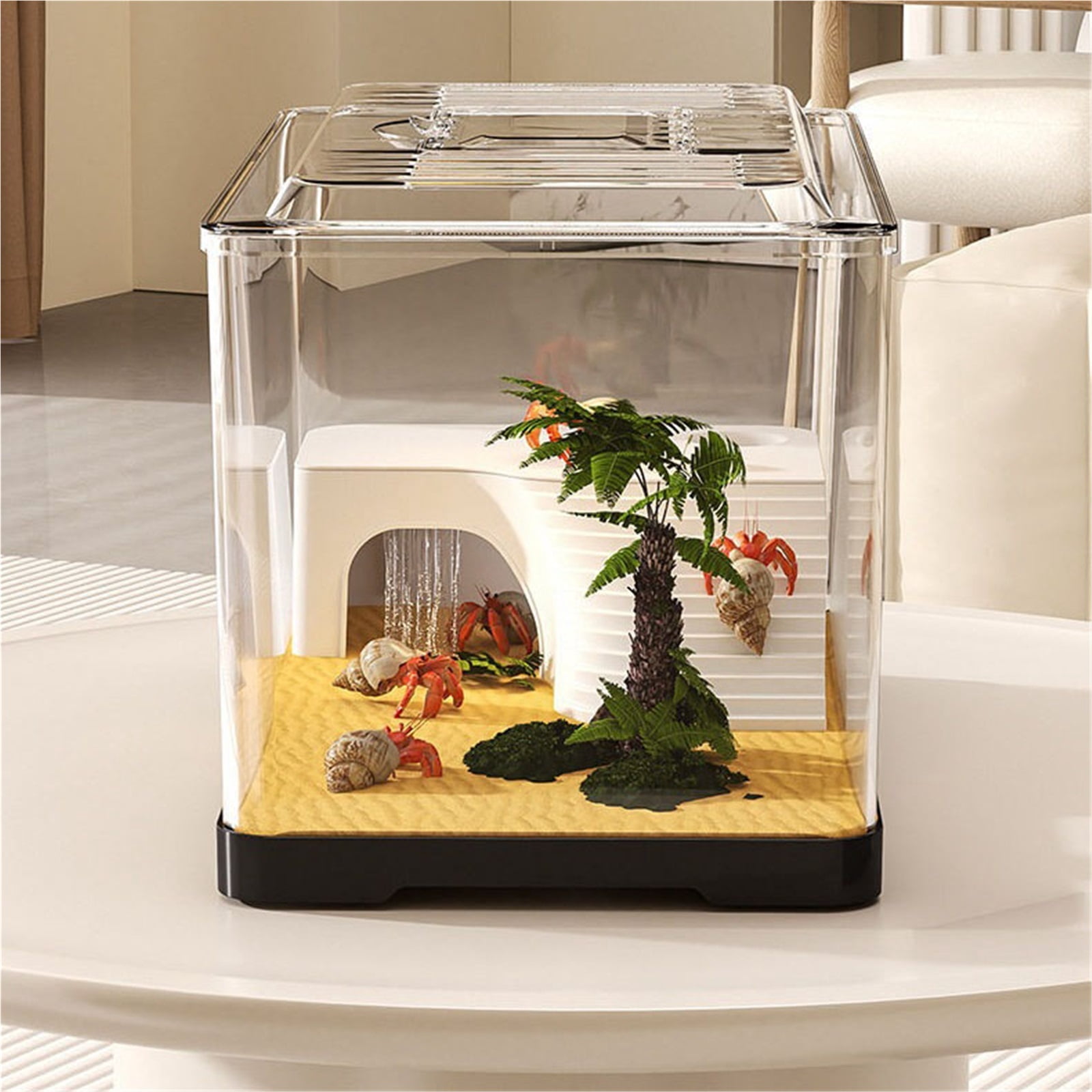 Transparent Turtle Viewing Tank Desktop Aquarium for Feeding and Observation