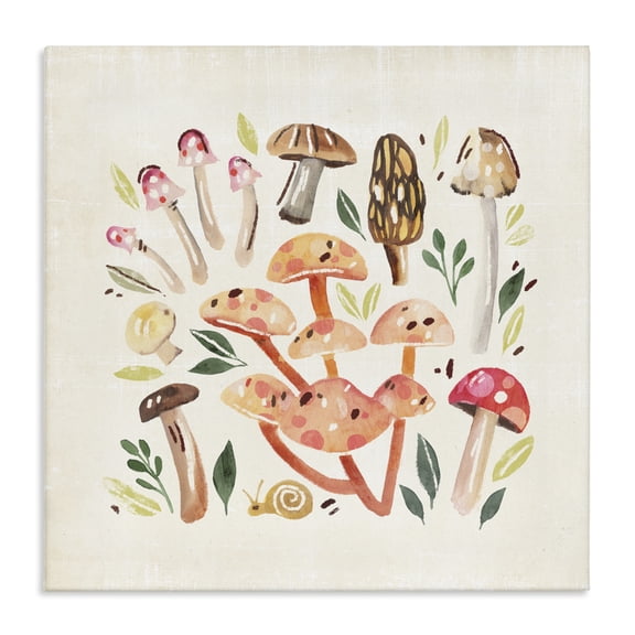 Stupell Industries Bohemian Whimsical Mushrooms & Snail Canvas Art, 17 x 17, by Annie Warren