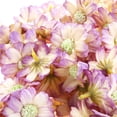 thumbnail image 4 of 100 Piezas Artificiales de Gerbera, Boda, Hogar, Margaritas, Cabezas , Arreglos Florales, Decoración, Manualidades Café ligero Colco Flor de Margarita de seda artificial, 4 of 8