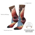thumbnail image 4 of Logiee Cute Red And White Elf Print Adult Socks for Men & Women,Calf Socks, Ankle Socks,Boots Socks,Breathable Casual Sock,Unisex Crew Socks, 4 of 6