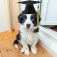 thumbnail image 3 of Pet Graduation Hat for Dogs and Cats - Doctor Cap Photo Prop Accessory for, 3 of 4