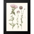 thumbnail image 2 of Popp, Grace 19x24 Black Modern Framed Museum Art Print Titled - Pressed Blooms III, 2 of 5