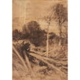 thumbnail image 2 of August Schaeffer von Wienwald 11x14 Black Ornate Wood Framed Double Matted Museum Art Print Titled: Tree Study (1911), 2 of 5