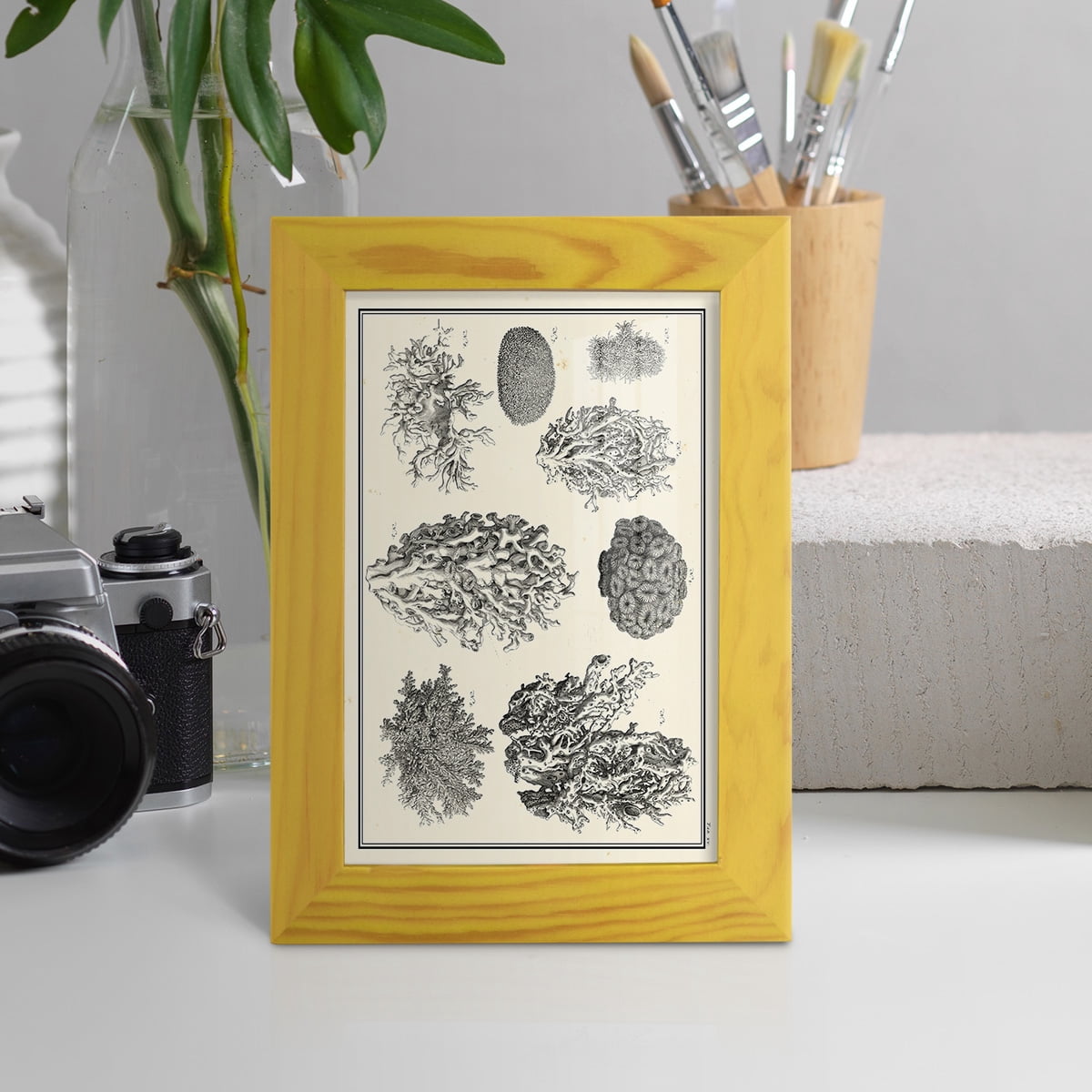 Aegean Collection IV -Framed Print w/glass-Sunflower Yellow