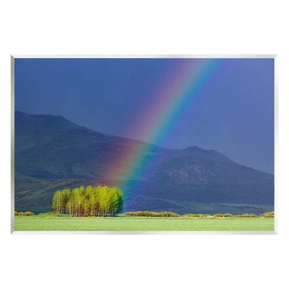 Stupell Industries Uplifting Rainbow Rays Tree Grove Mountain Landscape Photograph Unframed Art Print Wall Art, Design by Steve Smith
